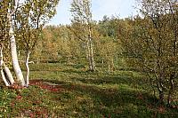 IMG_7947_25cm.jpg