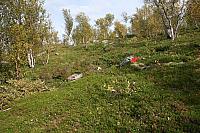 IMG_7950_25cm.jpg