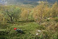 IMG_7951_25cm.jpg