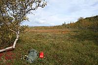 IMG_7958_25cm.jpg