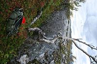 IMG_7959_25cm.jpg