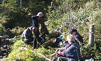 IMAG0295_25cm-100dpi.jpg