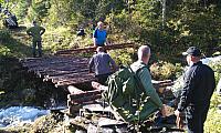 IMAG0296_25cm-100dpi.jpg