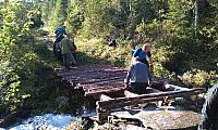 IMAG0297_25cm-100dpi.jpg