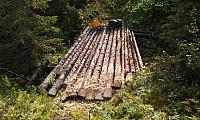 IMAG0299_25cm-100dpi.jpg