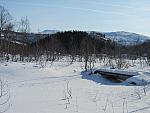 IMG 0427[1] 25cm