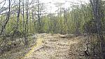 2015-05-30 03 25cm