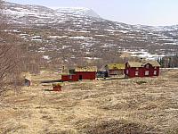 BirkeliFraRylLia_DSC03821_25cm.jpg