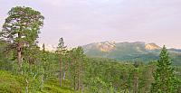 DC02932_utsnitt.jpg