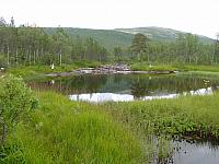 ElvkjeftenDSC02917.jpg
