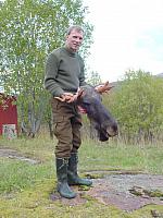HaraldMedElgHode_18x25_DSC04218.jpg