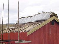 TorvPaaSjaagMoenet_DSC04970_25cm.jpg