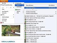 Firefox-select-clear-history.jpg