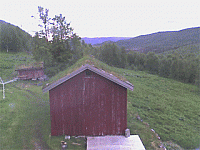 Gråmikkel