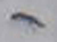 kroklicam201202121006_crop