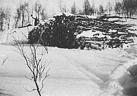 Sandvassveden_15cm.jpg