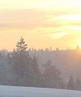 Vintersolverv