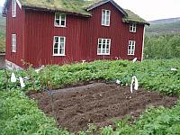 Bilder fra Eggesvikturen 2010