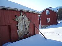 P1010691_100dpi