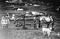 KonradsSlaamaskin