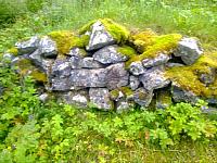 Smierøysa