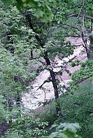 OFS1997-NF-Forsommer-USA-18_25cm100dpi.jpg