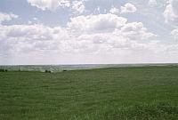 OFS1997-NF-Forsommer-USA-19_25cm100dpi.jpg