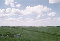 OFS1997-NF-Forsommer-USA-22_25cm100dpi.jpg