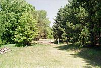 OFS1997-NF-USA-4-07_25cm100dpi.jpg