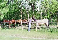 OFS1997-NF-Vår-USA-19_25cm100dpi.jpg